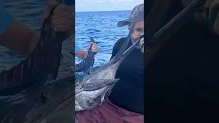 Insanely rare mutant Marlin!!    Sauced up Productions 🔥