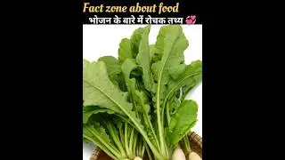 Fact zone about food 🤗 भोजन के बारे में रोचक तथ्य#shorts