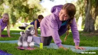 28104 Daisy The Yoga Goat