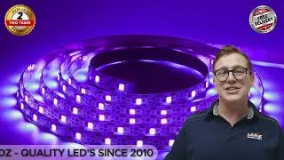 UV STRIP IP65 - LEDZ