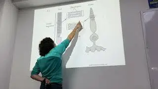 MÓDULO 3; Sistema Visual 