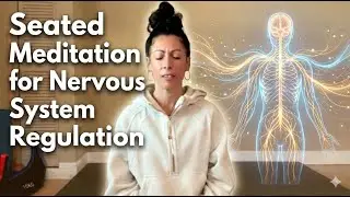 Seated Meditation for Nervous System Regulation