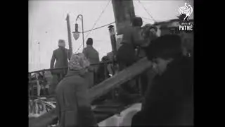 Did Stalin Continue to Export Grain as Ukraine Starved?