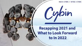 Cybin: Подведение итогов 2021 года и чего ожидать в 2022 году