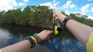 Florida Canals Exotic Slam Fly Fishing