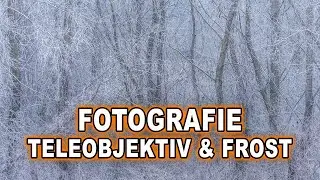 Bessere WINTER LANDSCHAFTSFOTOGRAFIE mit dem TELEOBJEKTIV | Gefrorener Wald und eisiger Nebel