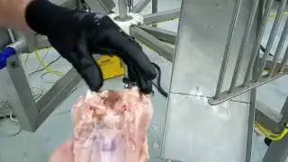 Dutch Poultry Tech Circular cut-up machine | Poultry processing solutions