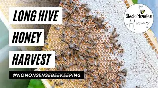 Long Hive Honey Harvest - Hyde Hives Long Hive - How to Harvest Honey