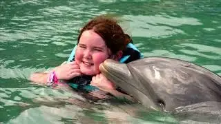 Moon palace Jamaica Christmas Day and Dolphin Cove 