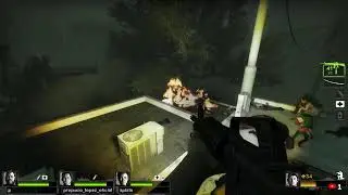 Left 4 Dead 2 | Gnome Hunting