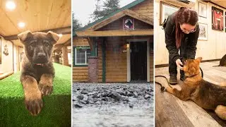 Kraftwerk K9 | It&rsquo;s Raining, We&rsquo;re Training