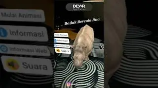 Augmented Reality Web Based, Made With MyWebAR #augmentedreality #animals #education