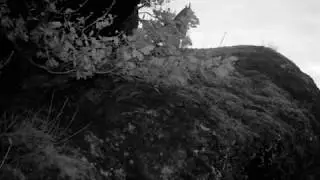Uhu in K&ouml;nigsfeld Eifel bei der Balz