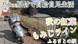 #4【50cc原付2台で自給自足野宿生活】秋の紅葉もみじライン（原付ツーリング）