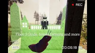 A guide to floor 3 Sword Blox Online: Rebirth