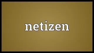 Netizen Meaning