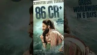 Thandel Movie 6 days worldwide collections report Naga Chaitanya Sai Pallavi DSP