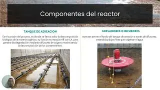 Reactor de lodos activados, biológico, secundario, tratamiento de aguas residuales