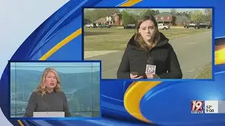 Minor Killed, Man Injured, Female Arrested In Hartselle Stabbing