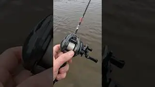 WARNING Casting Bearking Turtle Budget BFS Fishing Reel #fishing #bfsfishing #ultralightfishing