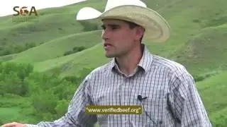 Verified Beef Production