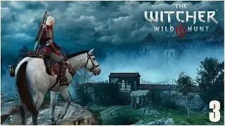 🖤 Witcher 3: Hearts of Stone ⚔️ | Aufzeichnung #3