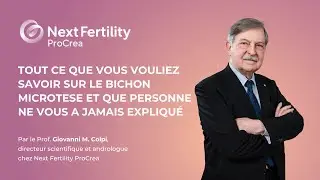 Tout ce que vous vouliez savoir sur le bichon microtese et que personne ne vous a jamais expliqué