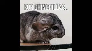 CUNIPIC for bunnies, hamsters and many others!