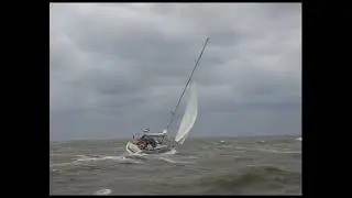 De Waddenzee (1997 )