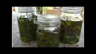 C&oacute;mo hacer un aceite medicinal con infusi&oacute;n de hierbas