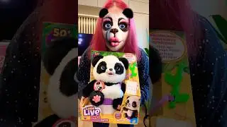 PANDA kt&oacute;ra ROBI KUPKE 💩 Little Live Pets Panda Chu Chu