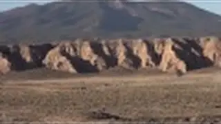 2014 Silver King Highway Nuisance Wild Horse Gather