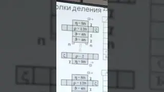 Деление Урана на Барий и Криптон