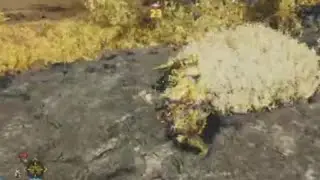 Tylra thinks swoad n sheild mega op in Wilds :}