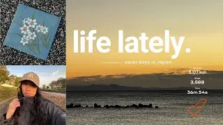 January: Life in Japan Lately 🧘🏻&zwj;♀️ (hatsushinode, birthday gifts, solo date & afternoon walk) 🌼🎴🎍