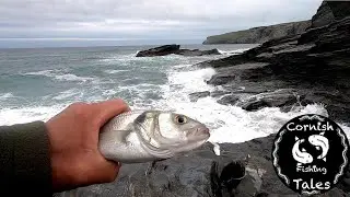 Two friends ,Two Rods , One Day , One Dog   Can We Catch   Part Two