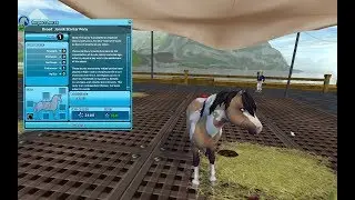 Star stable online  - New Jorvik ponies