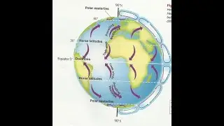 Global and Local Winds (CHAPTER 8 SECTION 3)