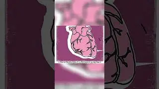 Why - Craig Cardiff