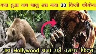 आखिर उस भालू ने क्यों खाया 30 किलो कोकेन? What happened when the bear ate 30 kg of cocaine?