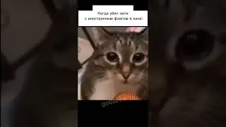 #рек #shorts  #мем #бригада #рекомендации #хочуврек #тт #tiktok #россия #мемы #бригаду #бравлстарс