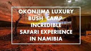 Okonjima LUXURY BUSH CAMP with incredible Safari in Otjiwarongo, Namibia