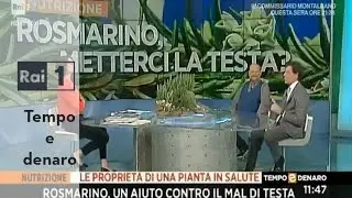 Rimedi naturali per combattere l'emicrania