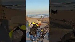 Day 1 Southern Tier Bikepacking Tour Dog Park San Diego #bikeshorts #cycling #bikepackinggear