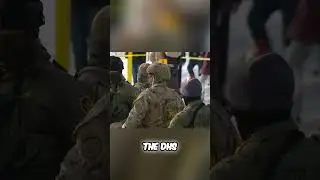 ICE Officer SHOT! DHS Claims SUV Attack Fueled Chaos #shorts