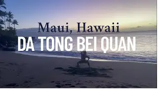 Shaolin Form | Da Tong Bei Quan in Maui, Hawaii