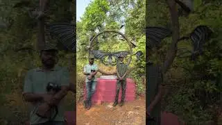 Parpoli butterfly village. Must visit 