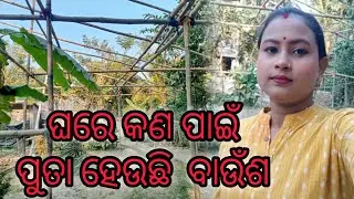 ଘରେ କଣ ପାଇଁ ପୁତା ହେଉଛି ବାଉଁଶ #odiavolg #subscribe #odisha #foryou #food #comedy #chaumin #highlights