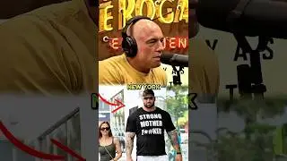 🇮🇪Shane Gillis ROASTS Irish Heritage?!🔥😂| Joe Rogan | Mark Normand | Ari Schaffir #shorts #jre
