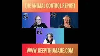 Safety First: Disaster Preparedness for Pets (Episode 248)